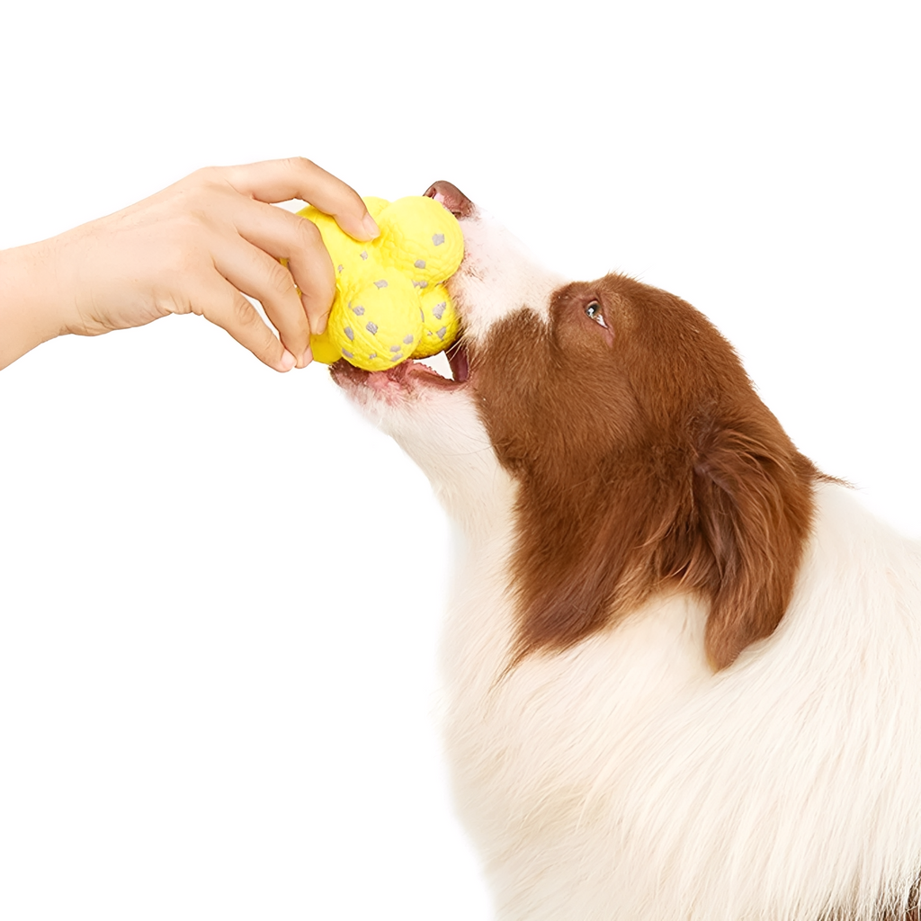 Dentiball - Tandverzorgende Kauwbal Hond