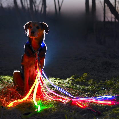LumaPaw - Verlichte USB-Hondenhalsband