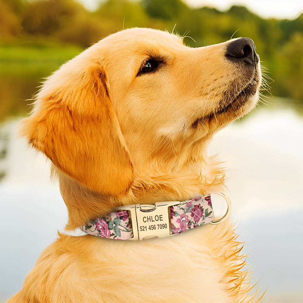 Pawdentify - Gegraveerde Nylon Hondenhalsband