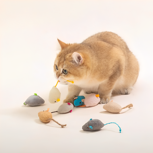 Meowza - Pluche Catnip Speelmuizen