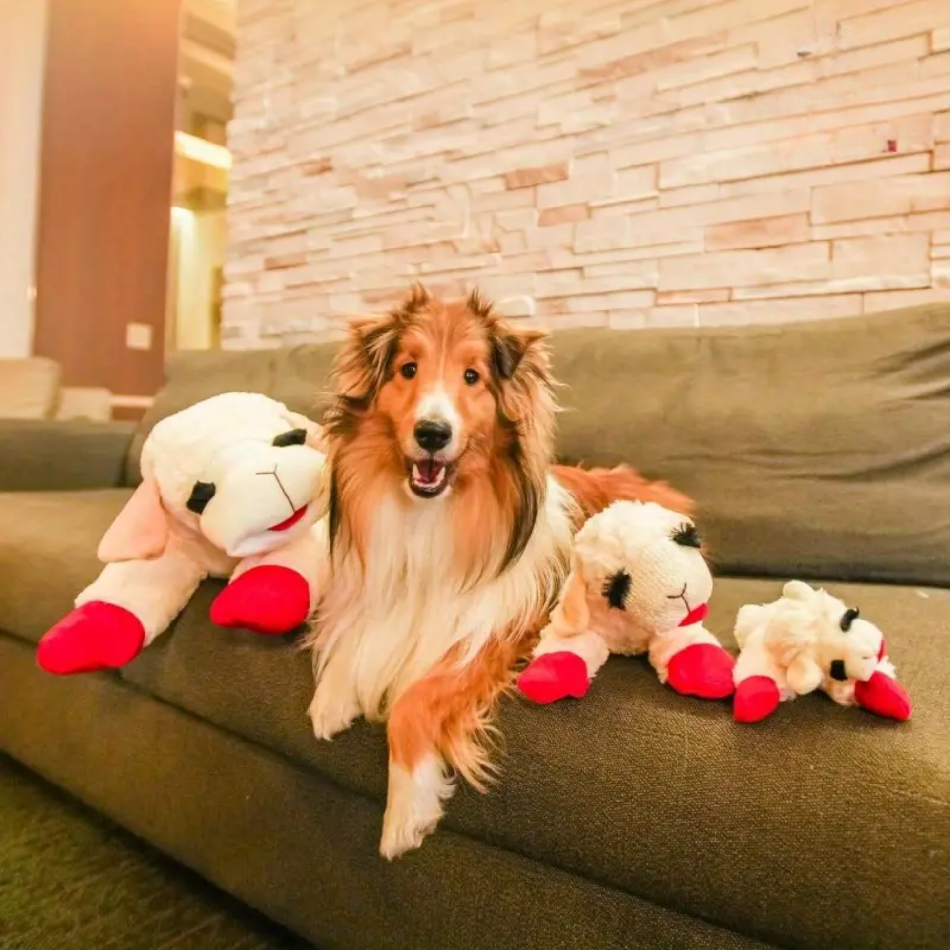 SnuggleSheep - Knuffelbaar Squeaky Hondenspeeltje
