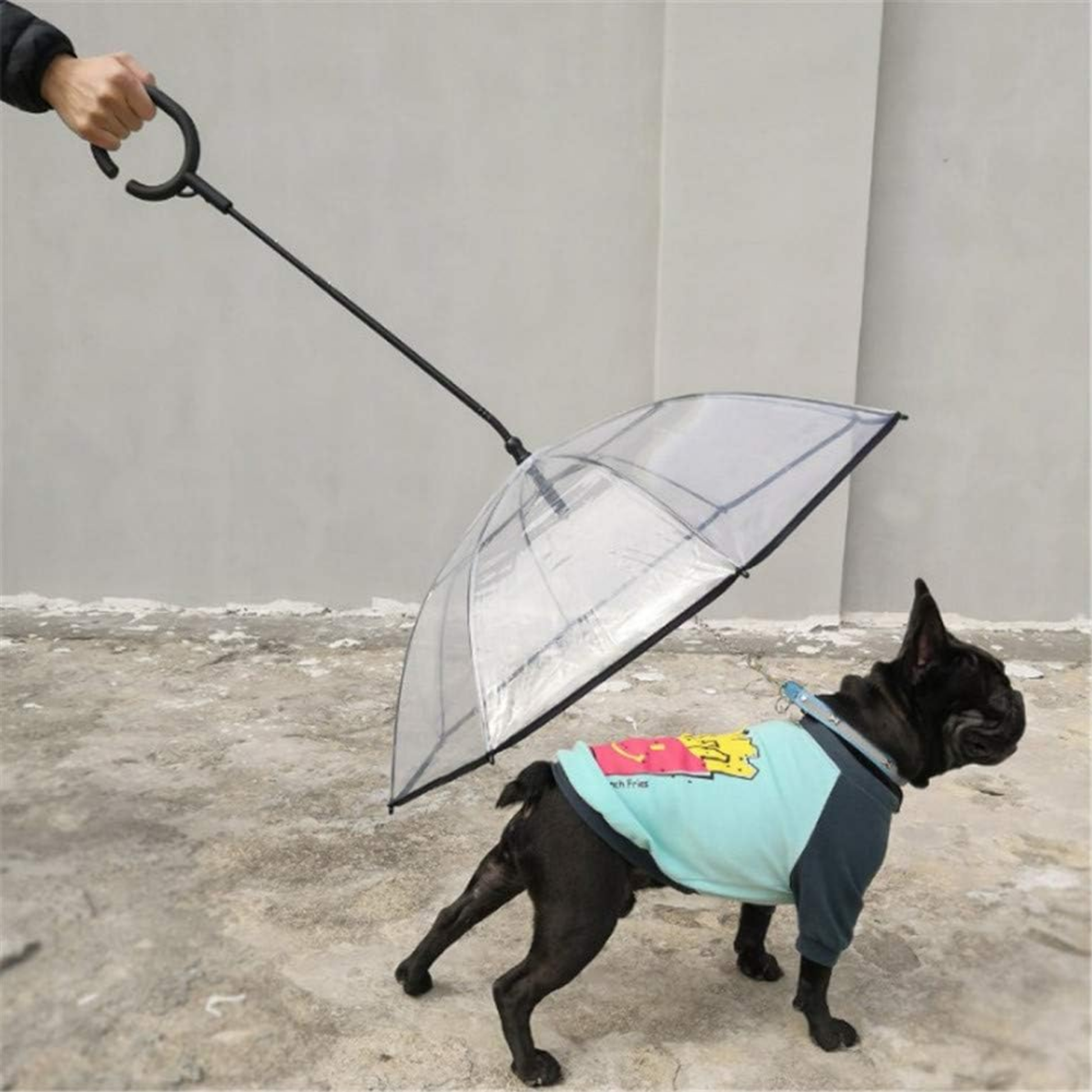 Pawrella - Transparante Veiligheids Hondenparaplu