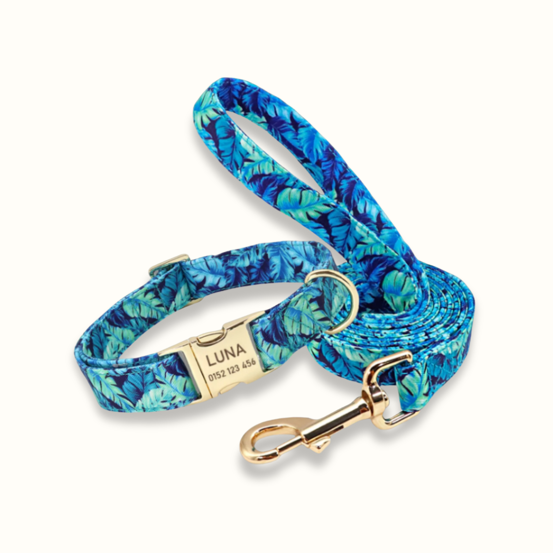 Pawdentify - Gegraveerde Nylon Hondenhalsband