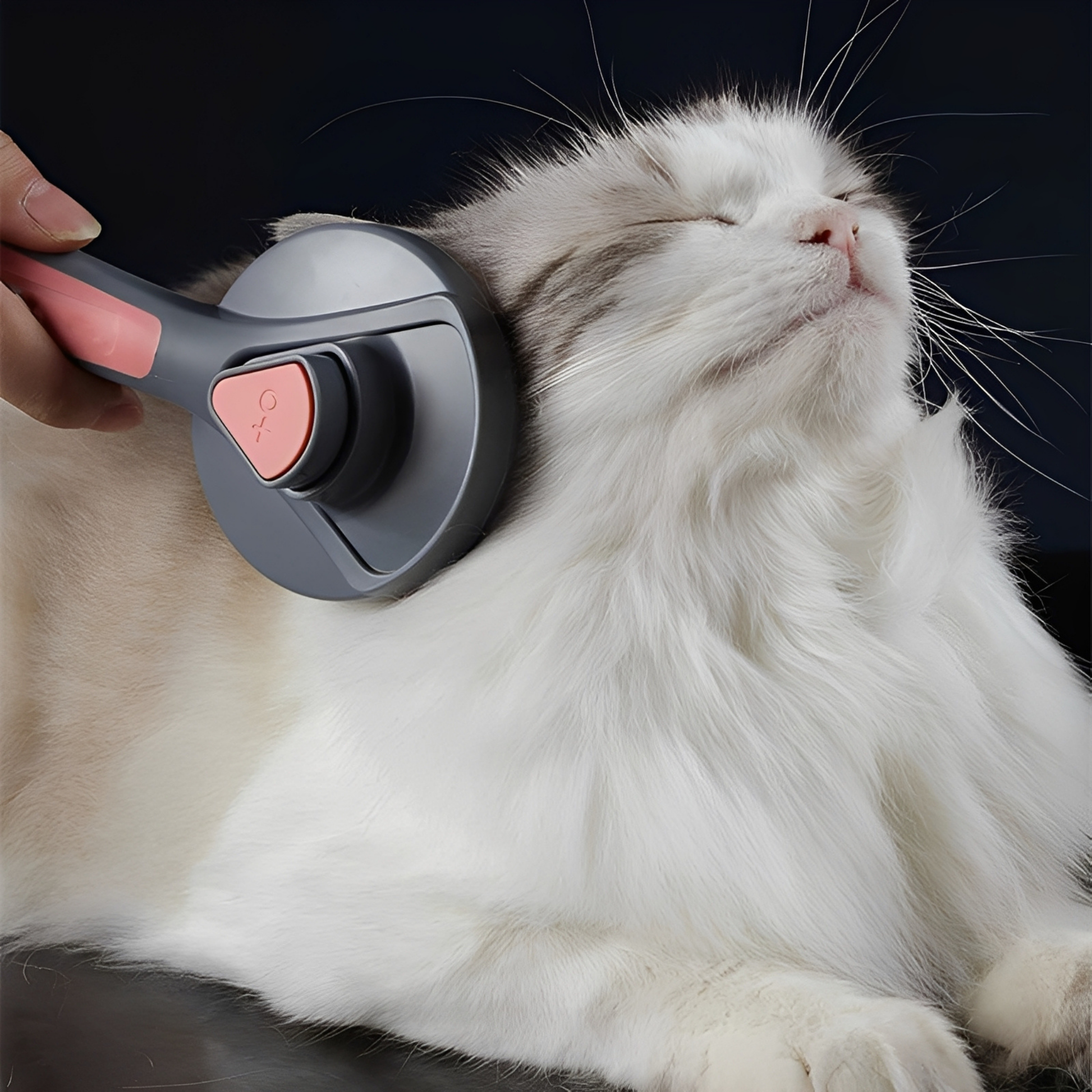 Groomzy - Haarverwijderende Kattenborstel