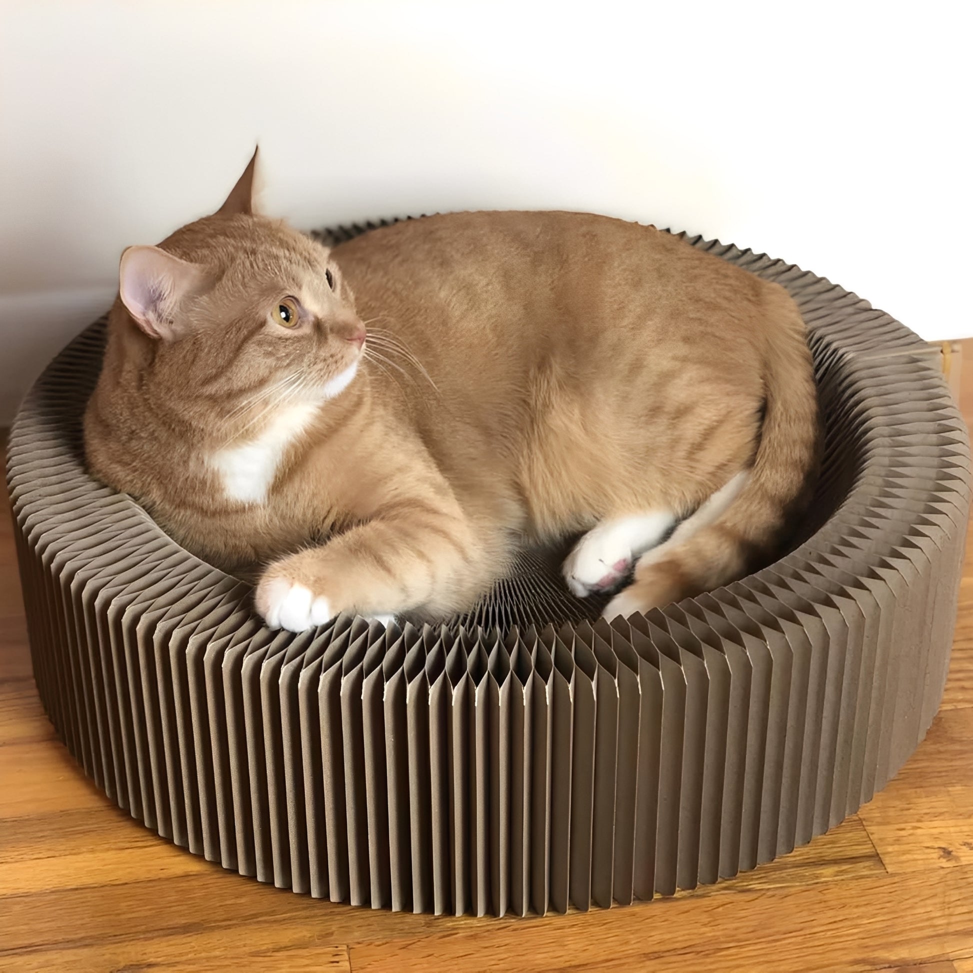 FoldNest - Opvouwbare Kartonnen Kattenlounge