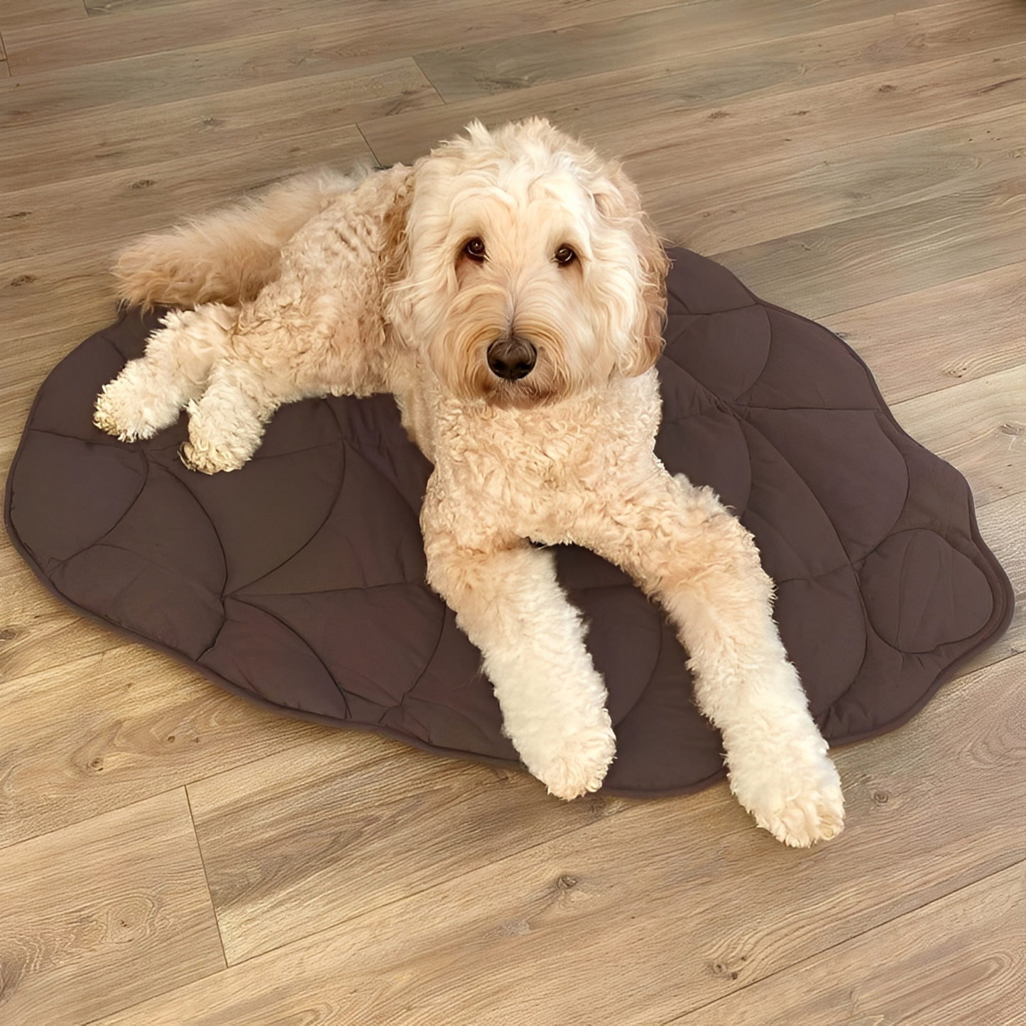 NatureNap - Reversible Pluche Huisdiermat