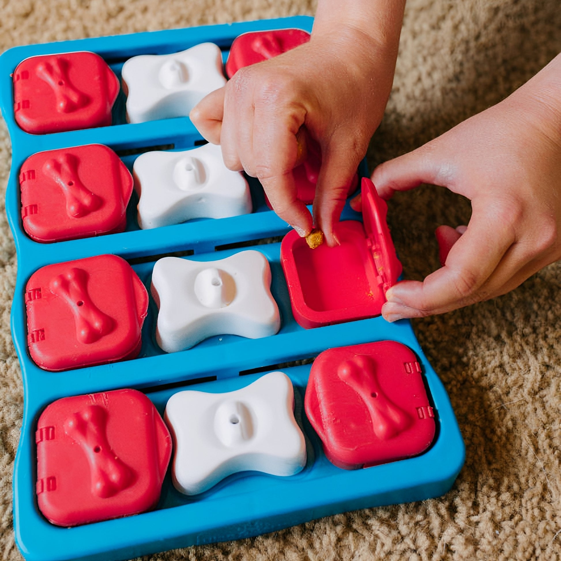 PawzzlePup -  Interactieve Traktatiepuzzel Hond