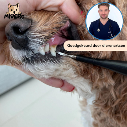 PawBrush - De Ultieme Tandverzorgingsset