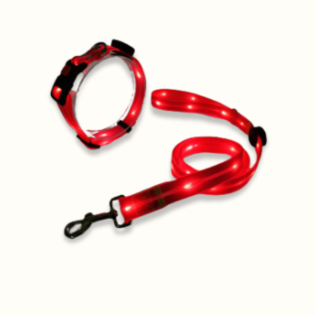 LumaPaw - Verlichte USB-Hondenhalsband