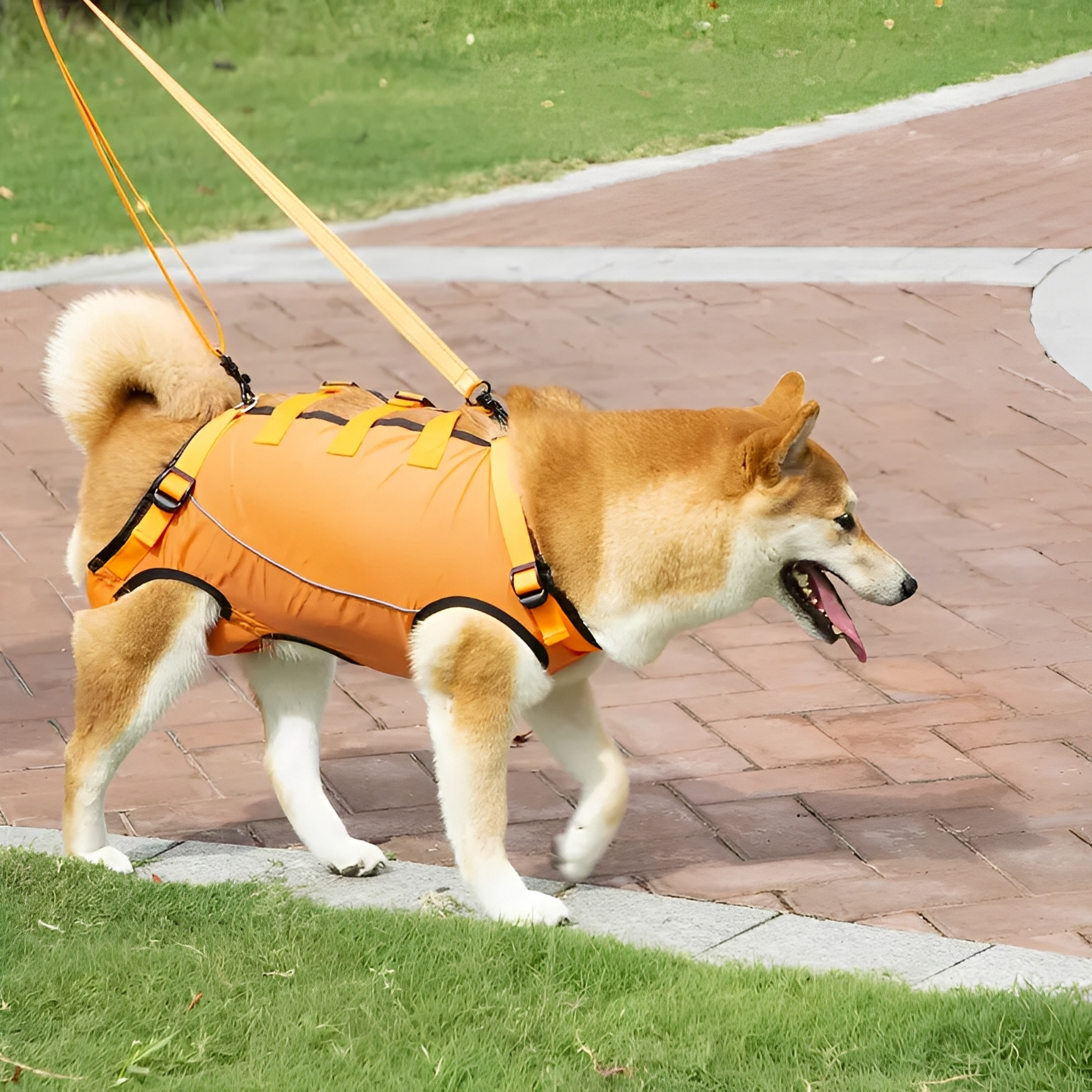 PawLift - Ondersteunend Tilharnas Hond