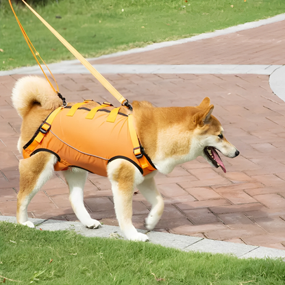 PawLift - Ondersteunend Tilharnas Hond