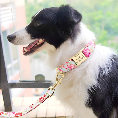 Pawdentify - Gegraveerde Nylon Hondenhalsband