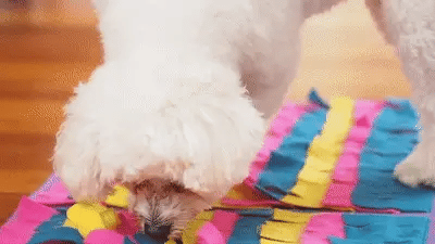 SniffQuest - Interactieve Snuffelmat Hond