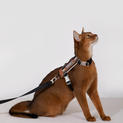 Meowalk - Reflecterend Ergonomisch Kattentuigje