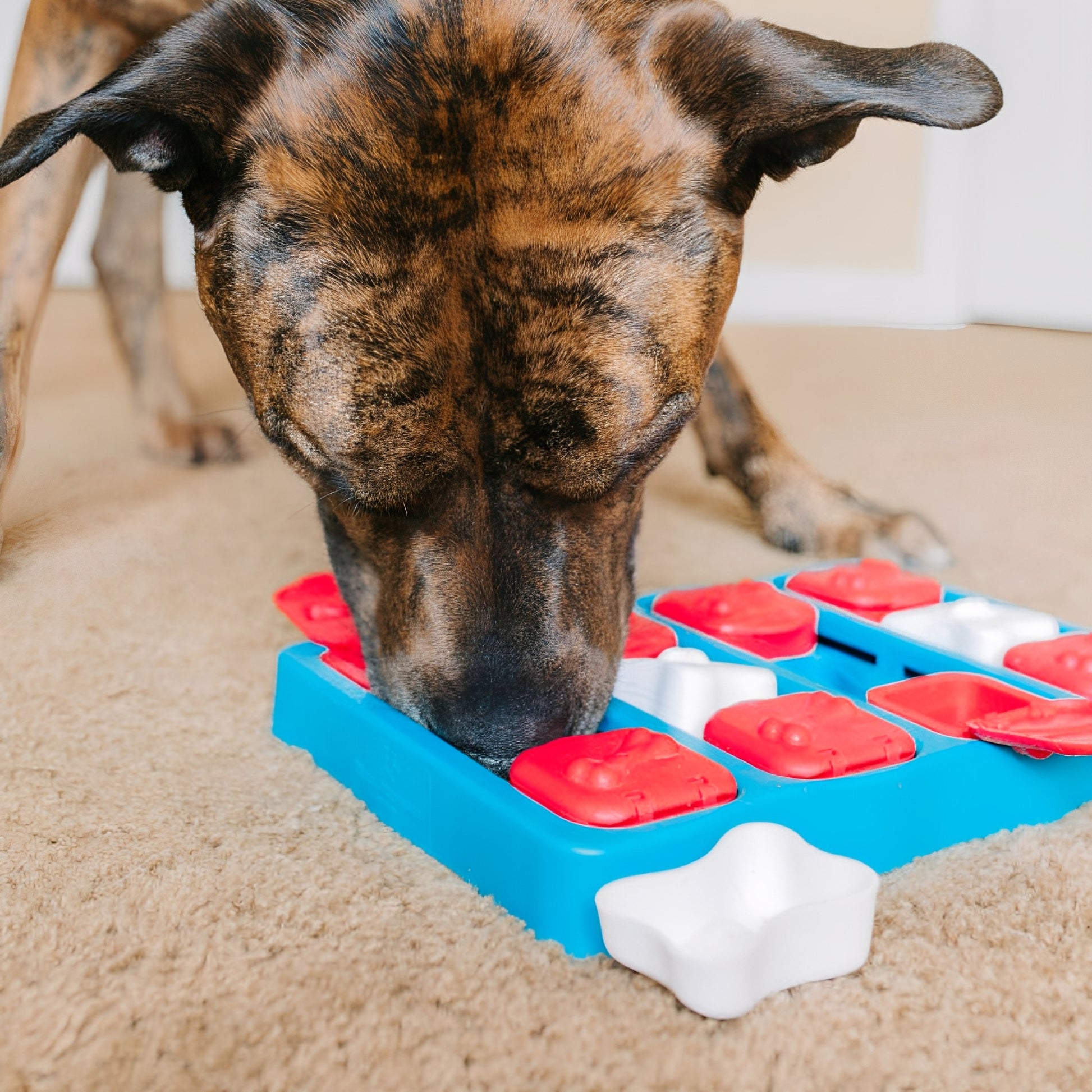 PawzzlePup -  Interactieve Traktatiepuzzel Hond