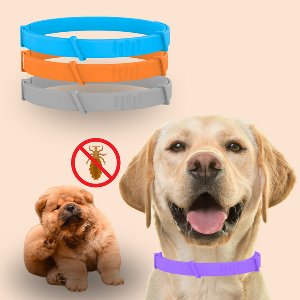 Product placeholder