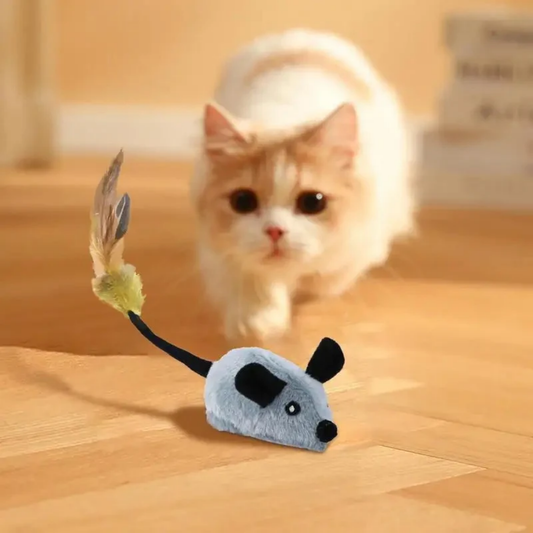 Chirpster - Interactief Chirpend Kattenspeeltje