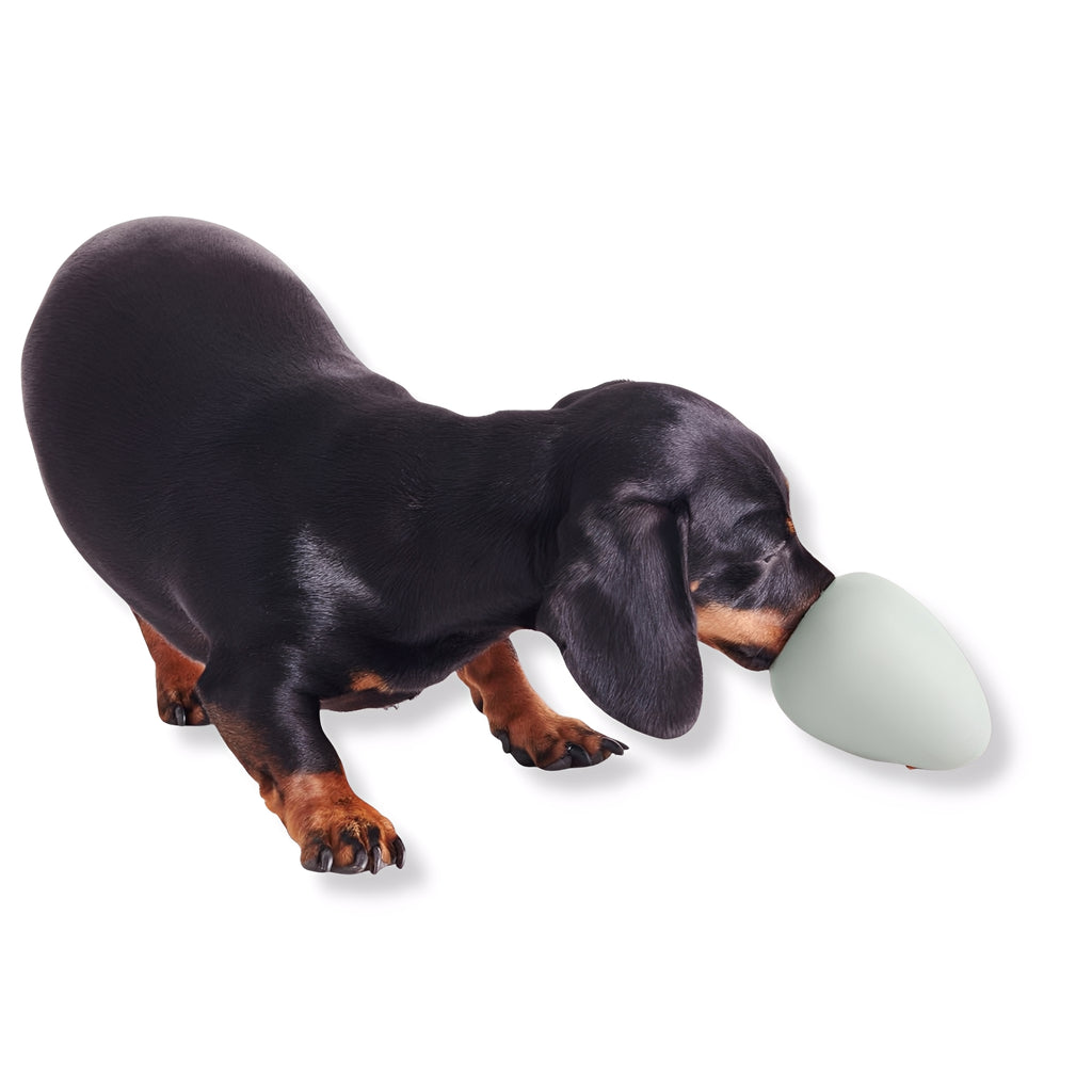 EcoChew -  Interactief Traktatiespeeltje Hond