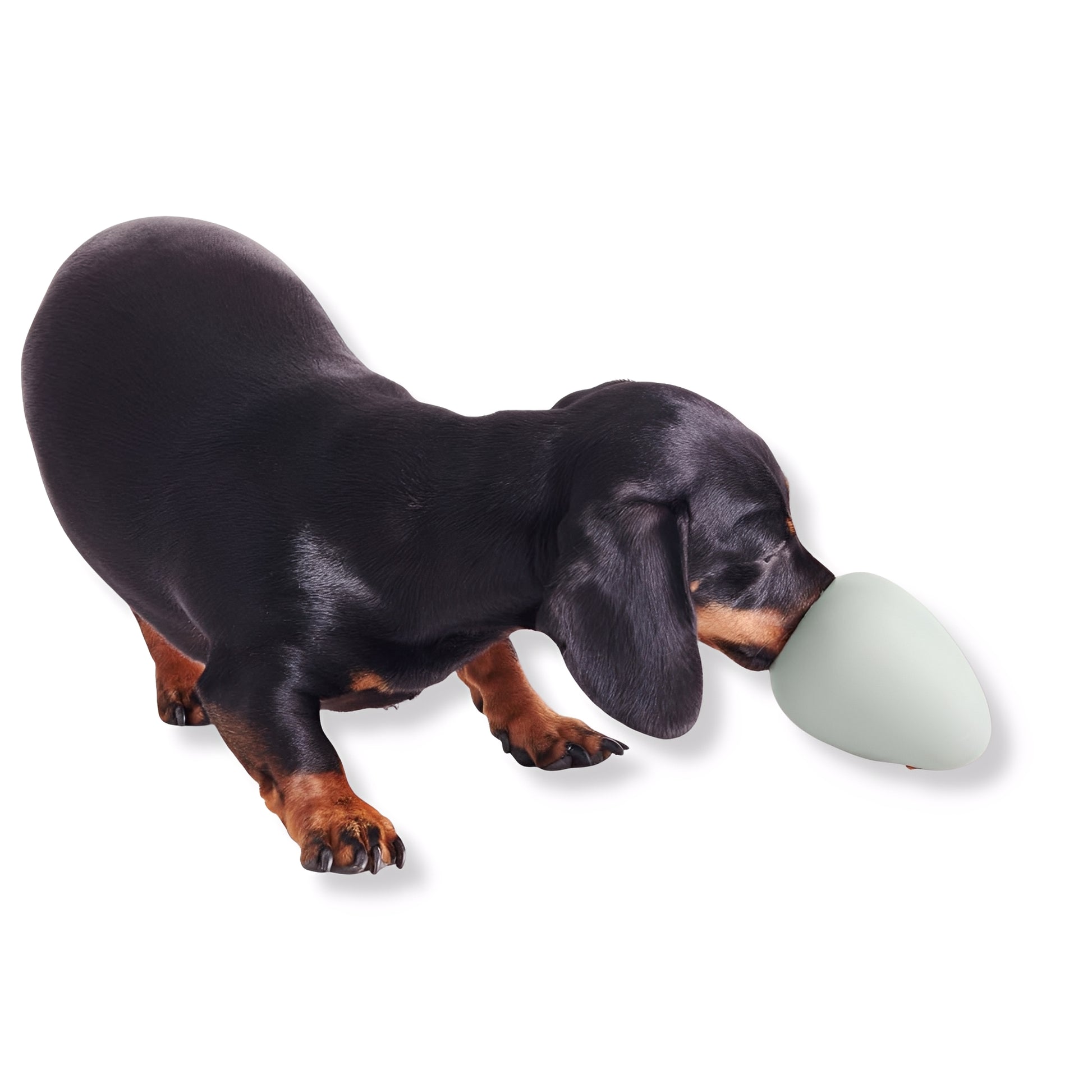 EcoChew -  Interactief Traktatiespeeltje Hond