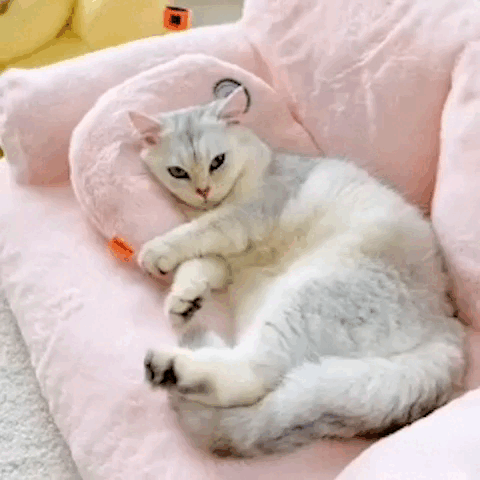 SnuggleLuxe - Omhullend Stressverlagend Hondenbed