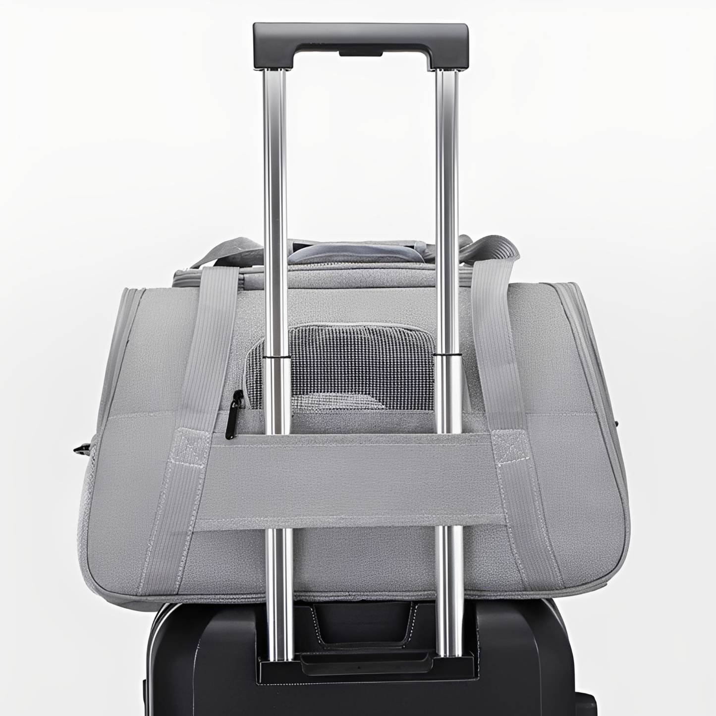 PawVoyage - Comfortabele Reis Hondentas
