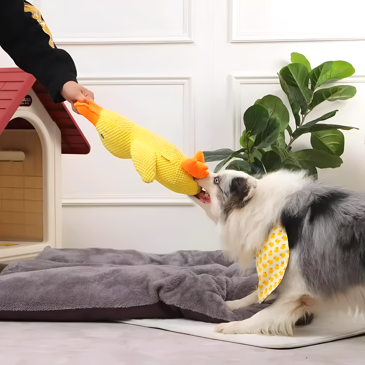 QuackMate - Quakkend Pluche Hondenspeeltje