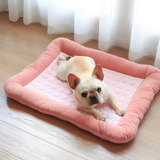 CoolPaw Premium - Bescherm je hond tegen de zomerse hitte!