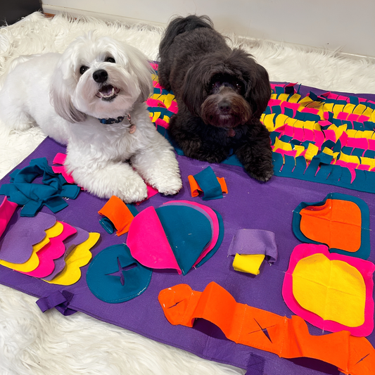 SniffQuest - Interactieve Snuffelmat Hond