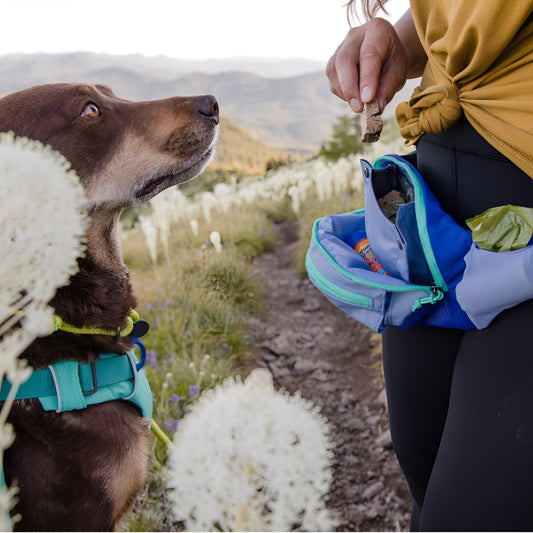PoochPack -  Ergonomische Wandel Heuptas