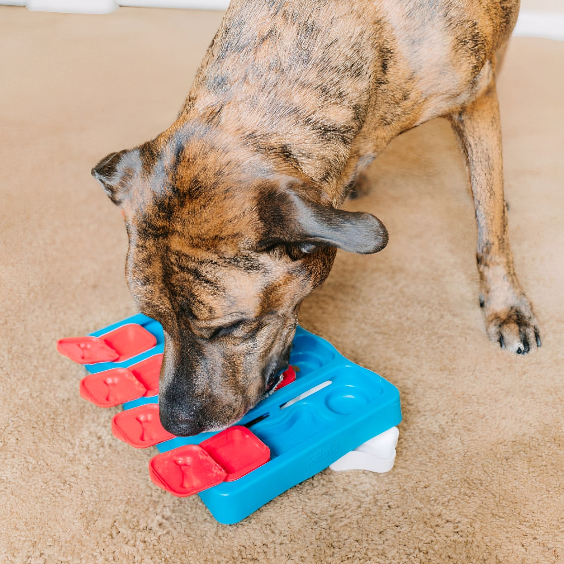 PawzzlePup -  Interactieve Traktatiepuzzel Hond