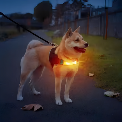 PawGlow - LED Veiligheids Hondenlamp