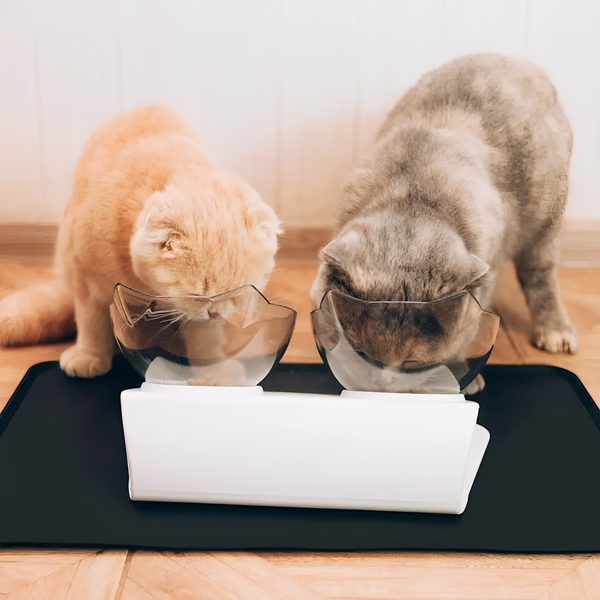 MealMate - Ergonomische Kantelbare Kattenbakjes
