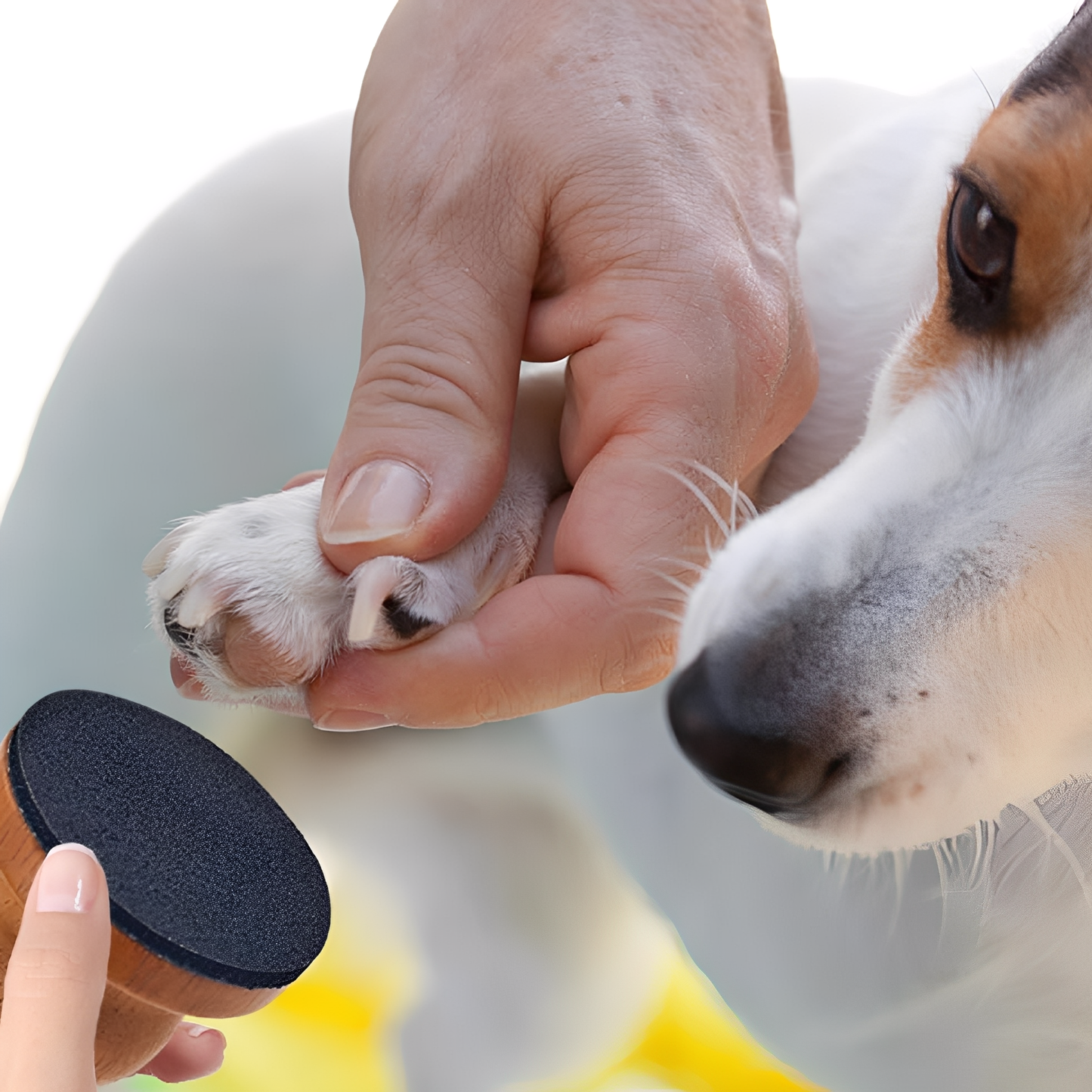 PediPaws - Stille Veilige Nagelvijl