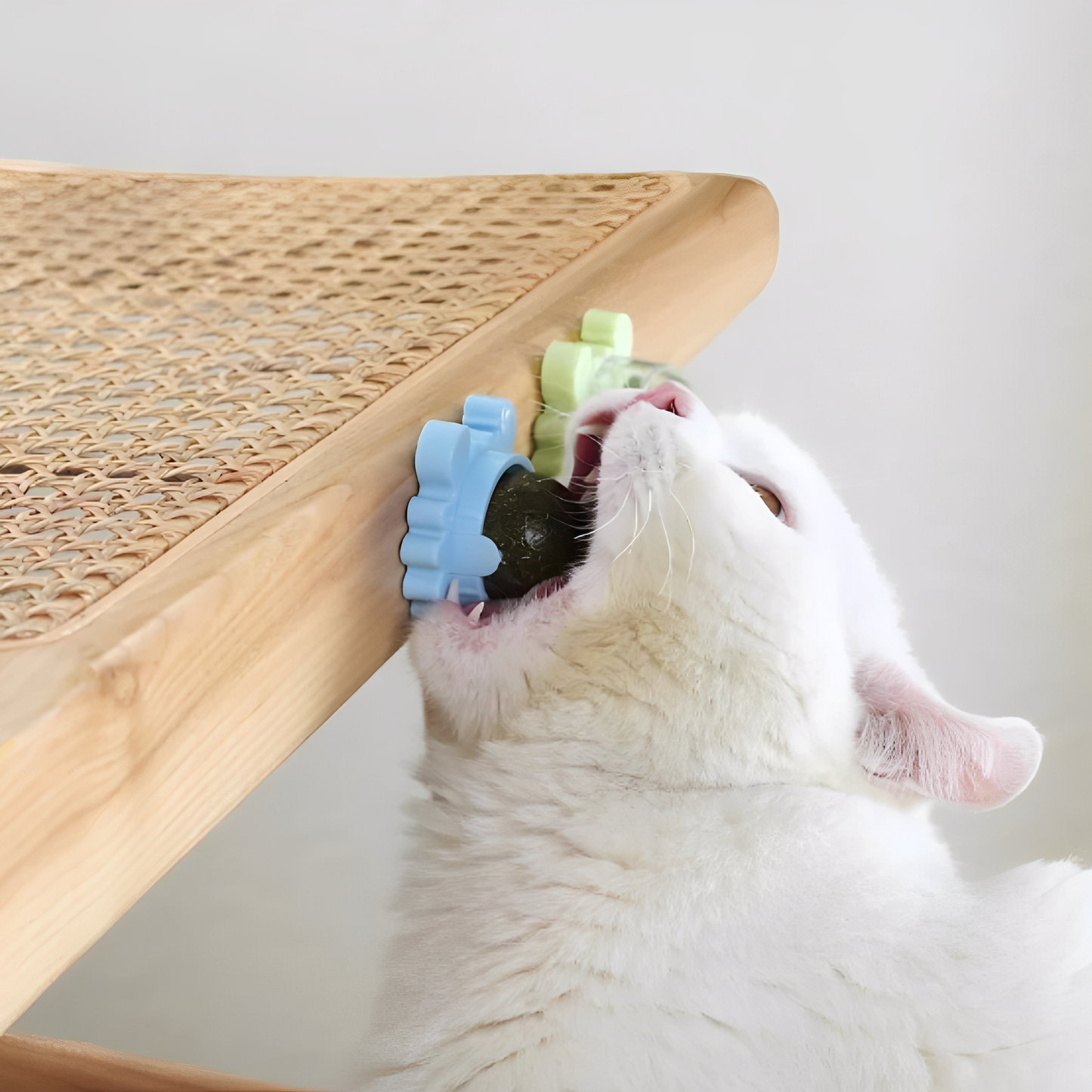 NipSpin -  Draaibare Kattenkruid Likbal