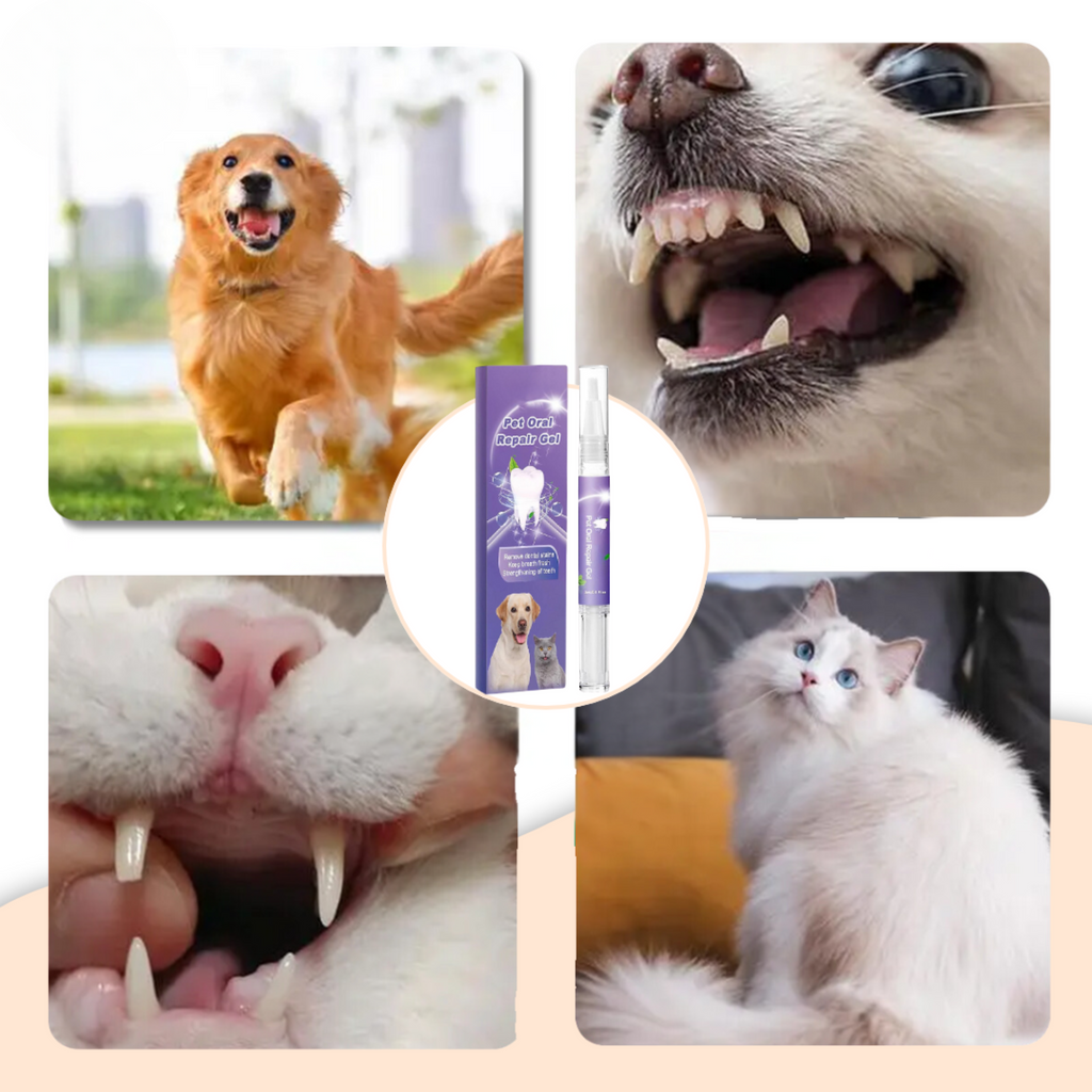 FreshPet - Frisse adem en gezonde tanden voor je huisdier!