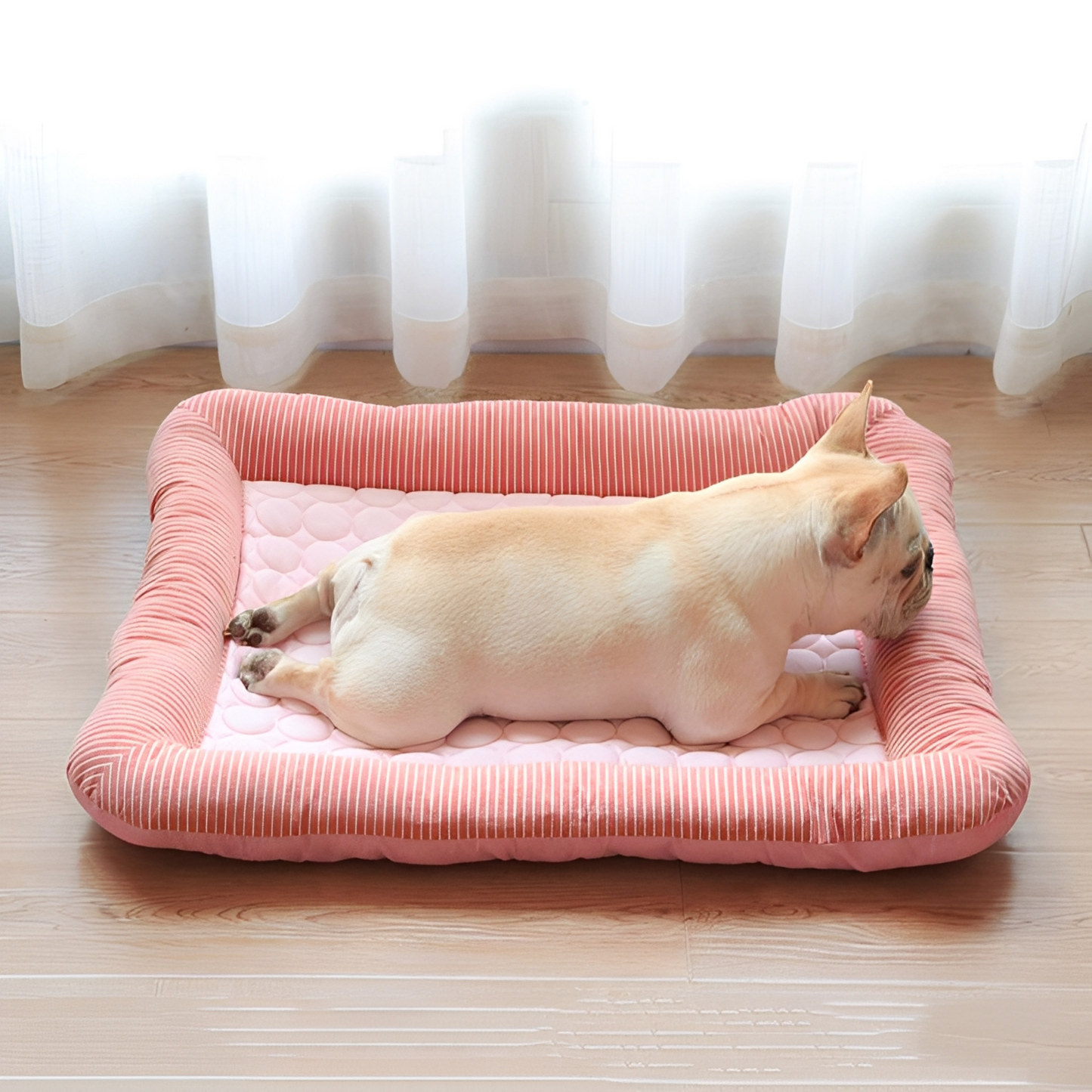CoolPaw Premium - Bescherm je hond tegen de zomerse hitte!