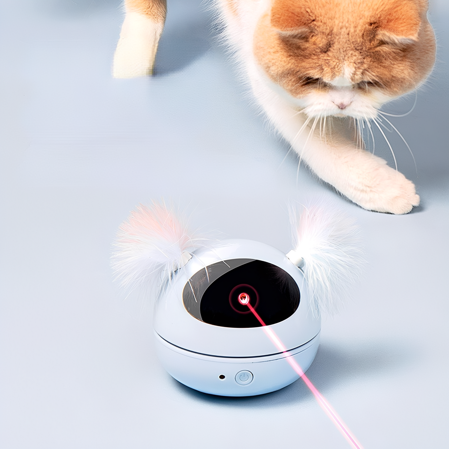 LazrLoop -  Automatische Interactieve Kattenlaser