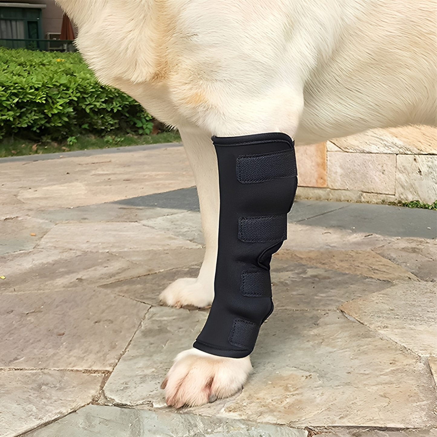 PawBrace - Orthopedische Honden Pootbrace