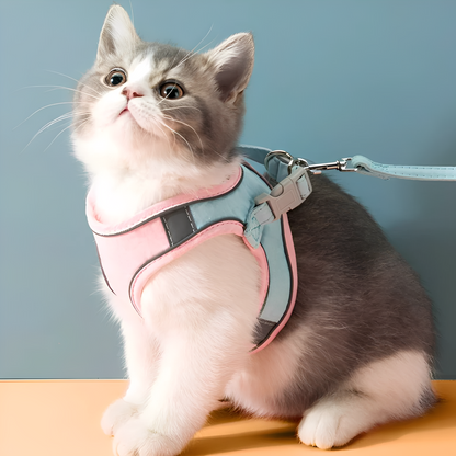Catventure -  Verstelbaar Veiligheidstuigje Kat