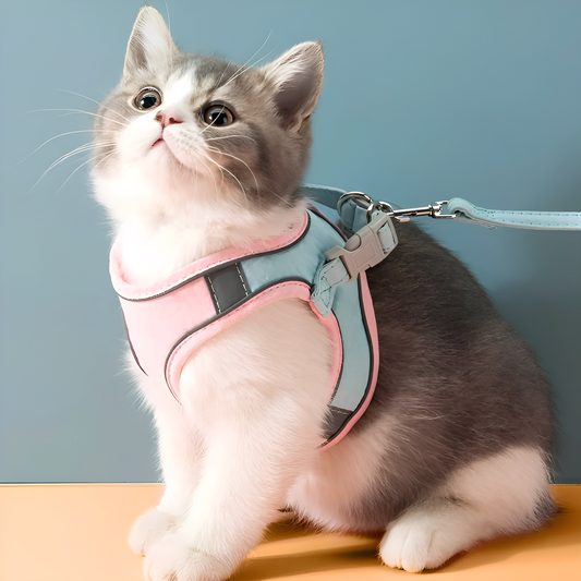 Catventure -  Verstelbaar Veiligheidstuigje Kat