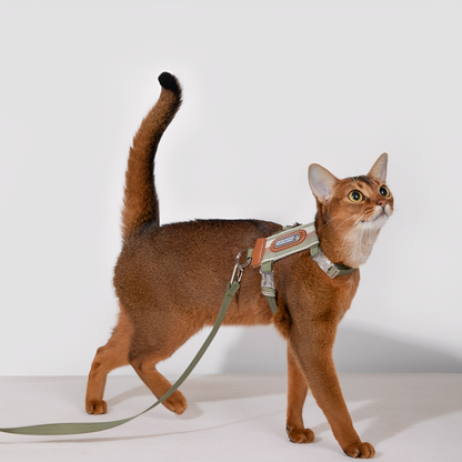 Meowalk - Reflecterend Ergonomisch Kattentuigje