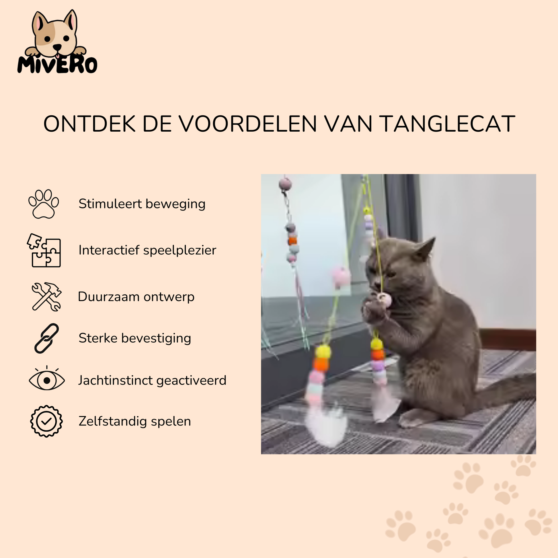 TangleCat - Interactief Hangend Kattenspeeltje