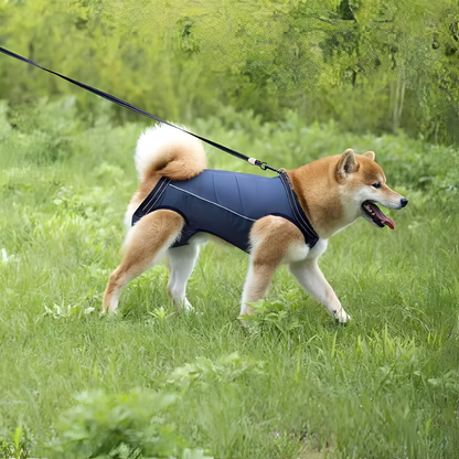 PawLift - Ondersteunend Tilharnas Hond