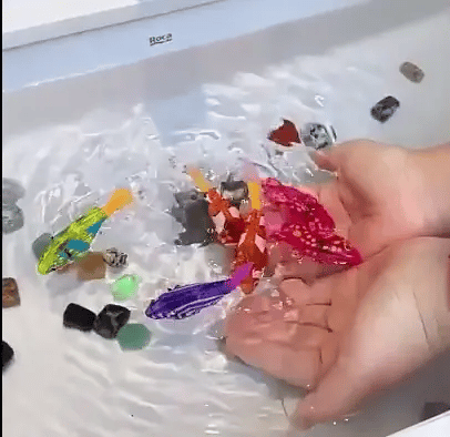 AquaWhirl - Interactieve Zwemmende Kattenvisjes