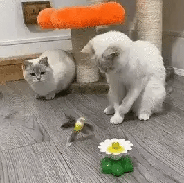 CatCho - Interactive Moving Cat Toy