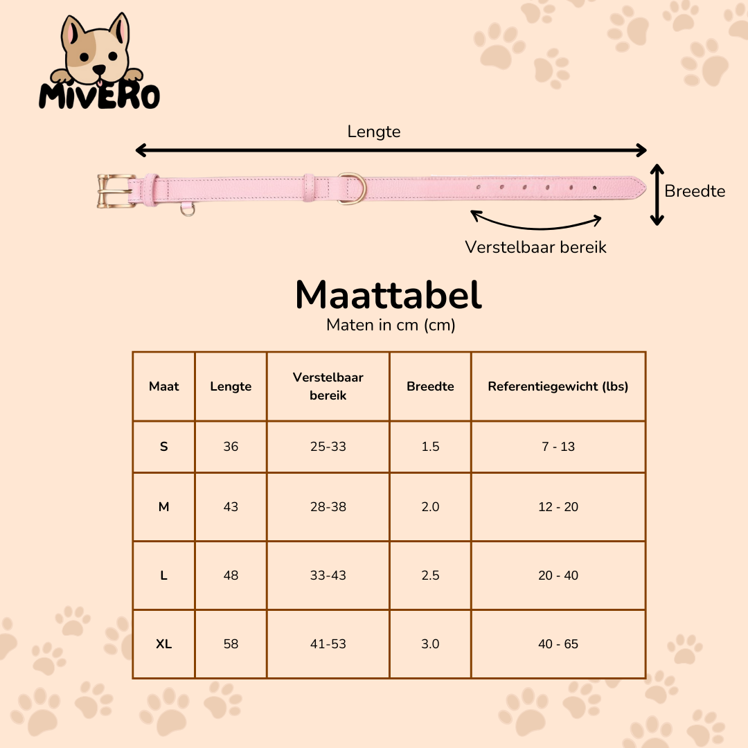 ChicLeash - Sterke Leren Hondenhalsband