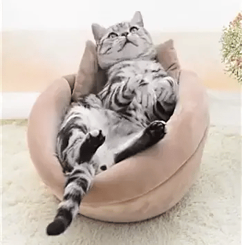 Fluffin -  Multifunctionele Knuffel Schuilplaats