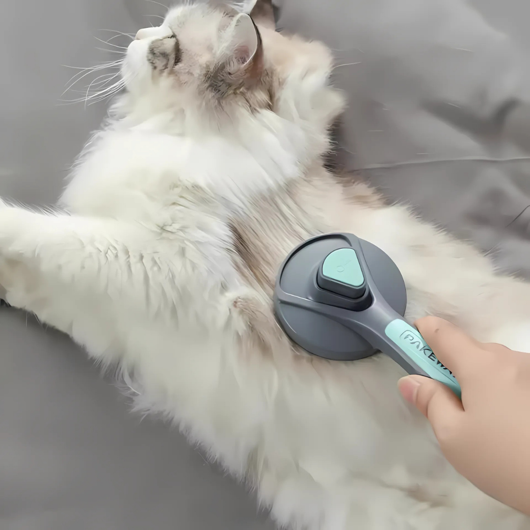 Groomzy - Haarverwijderende Kattenborstel