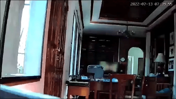 GuardiPet - WiFi Nachtzicht Huisdiercamera