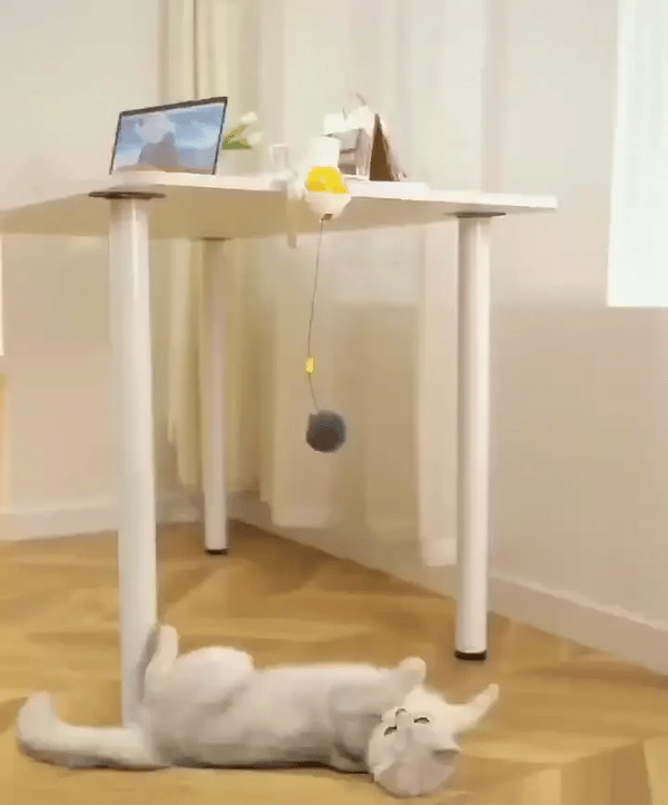 KittyBounce -  Interactieve Oplaadbare Kattenbal